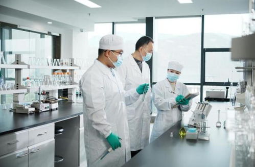 茶潤民心 質守初心 理想華萊以信息技術賦能茶產業高質量發展